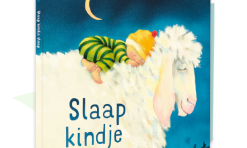 Boek Slaap kindje slaap