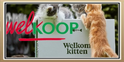 Gratis kittenpakket of puppypakket van Welkoop