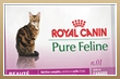 gratis-royal-canin-kittenpakket